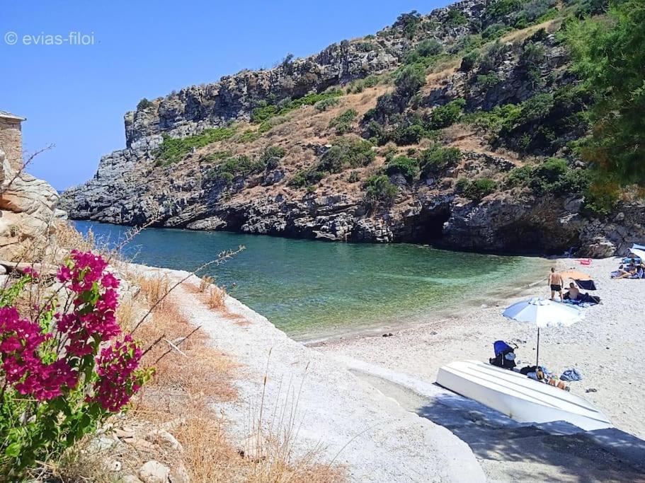 Tsakei Παραθαλασσιο Σπιτι Στην Εξοχηヴィラ エクステリア 写真