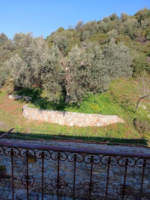 Tsakei Παραθαλασσιο Σπιτι Στην Εξοχηヴィラ エクステリア 写真