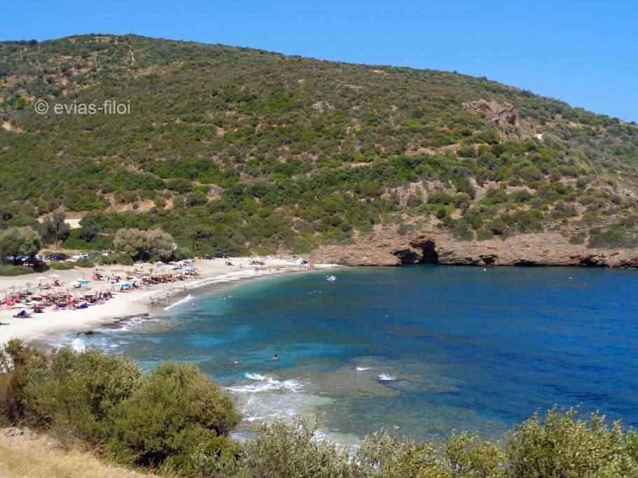 Tsakei Παραθαλασσιο Σπιτι Στην Εξοχηヴィラ エクステリア 写真